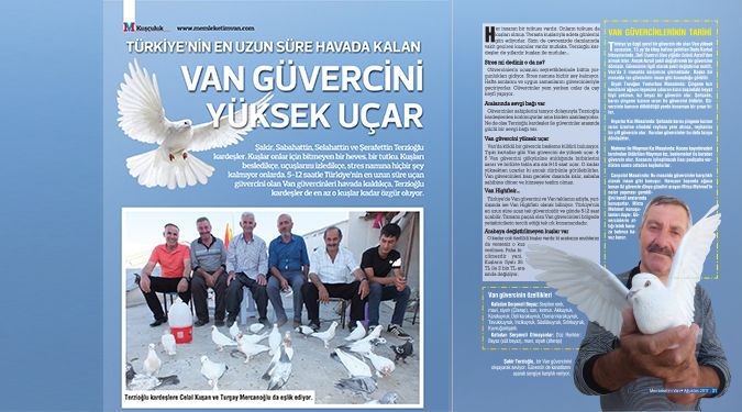 VAN GÜVERCİNİ 12 SAAT HAVADA KALIYOR