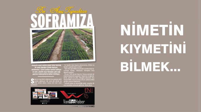 Nimetlerin kıymetini bilelim...