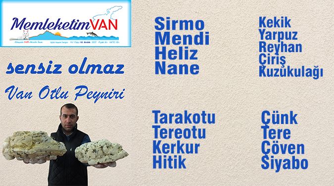 VAN OTLU PEYNİRİ KOKUSUDUR VAN…