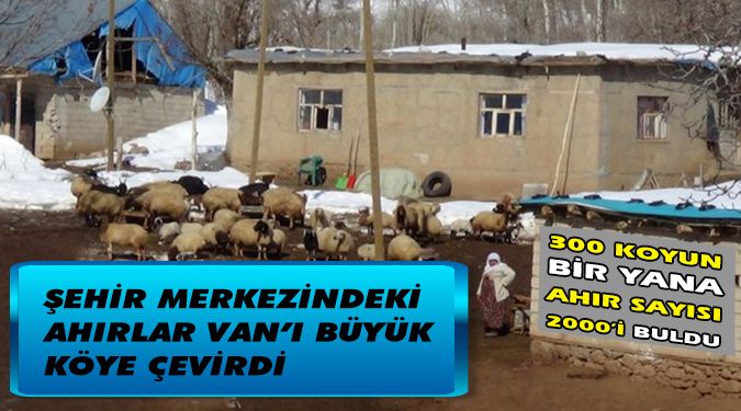 KÖYDEN İNDİM ŞEHRE !!!