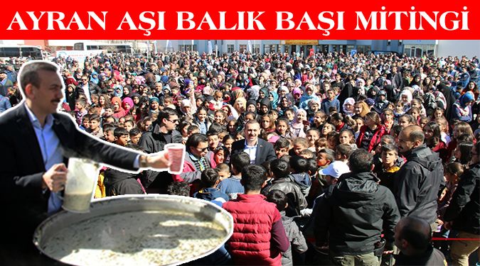 Ayran aşı balık başı var dediler geldik