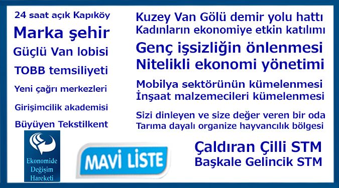 VAN DENİZİ MAVİSİ TADINDA PROJELER