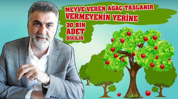 VOTAŞ 30 BİN YENİ MEYVE FİDANI DİKECEK