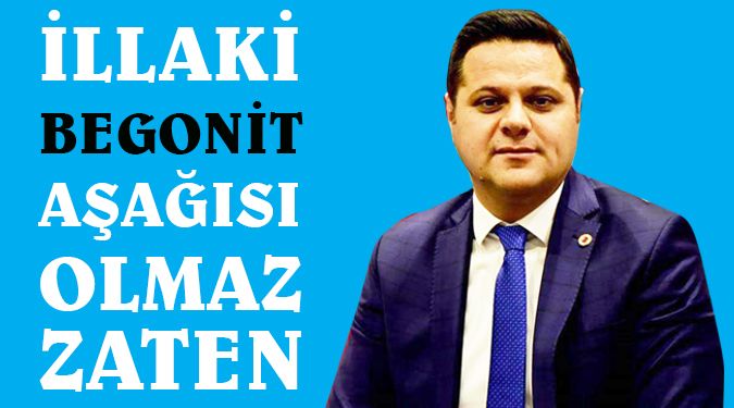 BEGONİT Mİ?