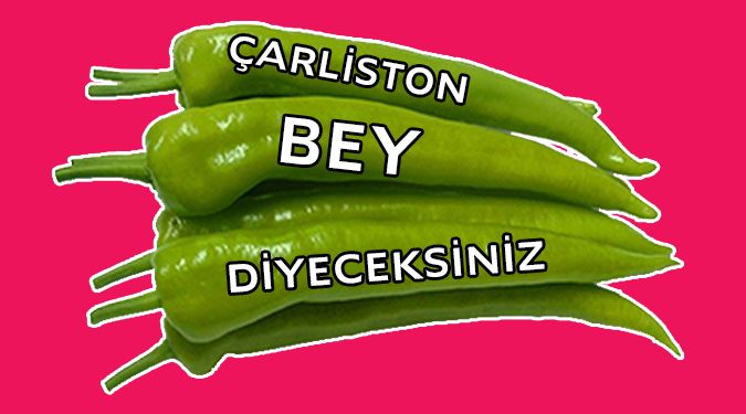 ŞAMPİYON ÇARLİSTON…