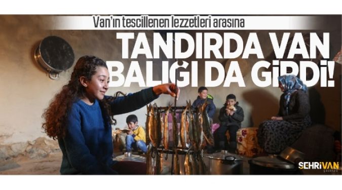 TANDIRDA VAN BALIĞI TESCİLLENDİ