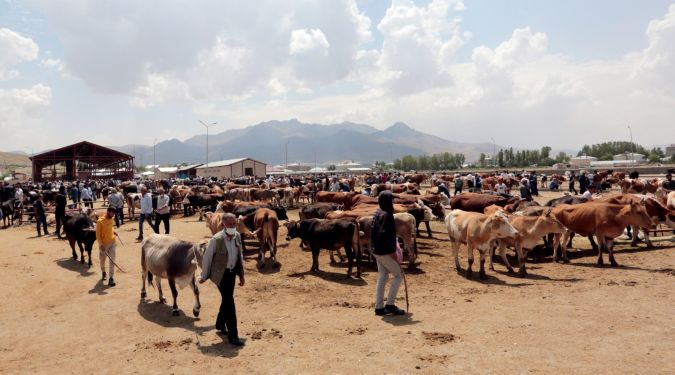 SAĞLIKLI BİR KESİM İÇİN..!