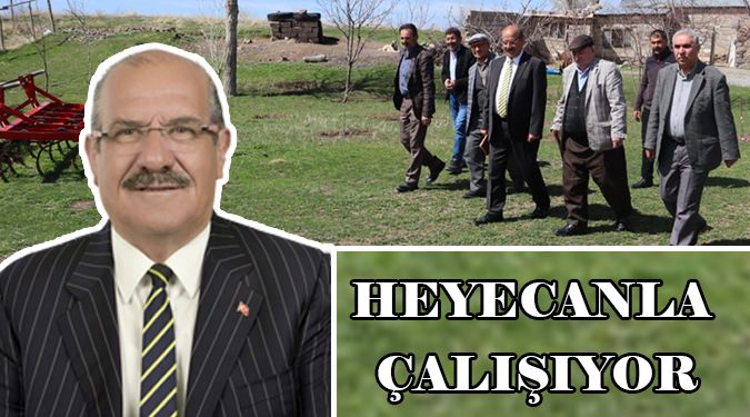 "AK PARTİ ŞEVGİN'LE HEYECAN BULDU"