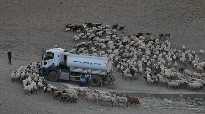 SU ONLAR İÇİN DE HAYATTIR