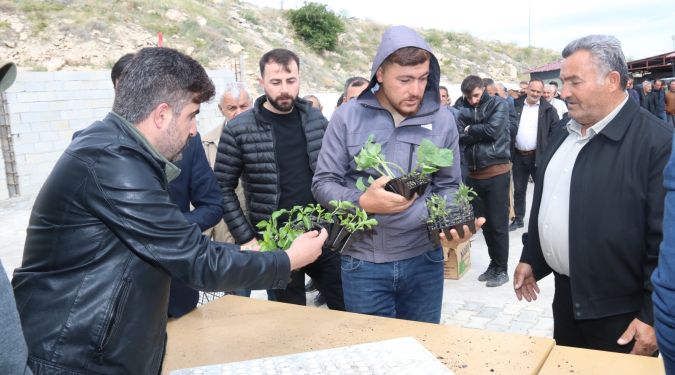 SEBZE FİDESİ DESTEĞİ