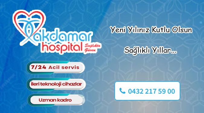 AKDAMAR HASTANESİ YENİ YILINIZI KUTLAR